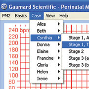 Monitor Perinatal