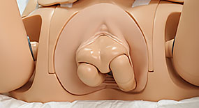 Simulação de parto de culatra utilizando simulador de recém-nascido