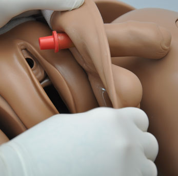 Profissional realizando a troca de órgão genital do simulador S201