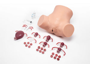 Simulador com uteros opcionais