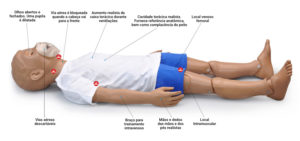 Simulador deitado com informações sobre suas características