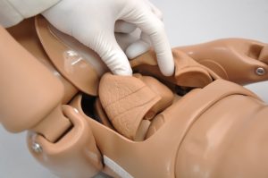 Profissional abrindo a cavidade torácica do simulador