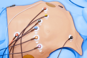 Pele de peito para simulador HAL