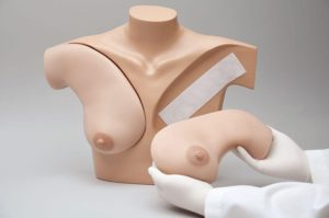 Modelo de torso com seio em processo de substituição por modelo S230.52.853