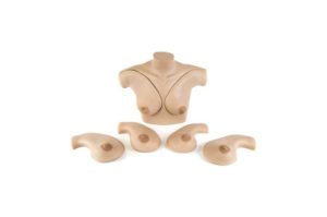 Torso s230.40 com modelos de seios para substituição